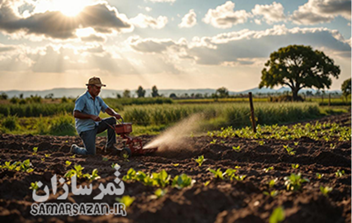 اشتباهات رایج در باغداری و کشاورزی اشتباهات رایج در باغداری و کشاورزی